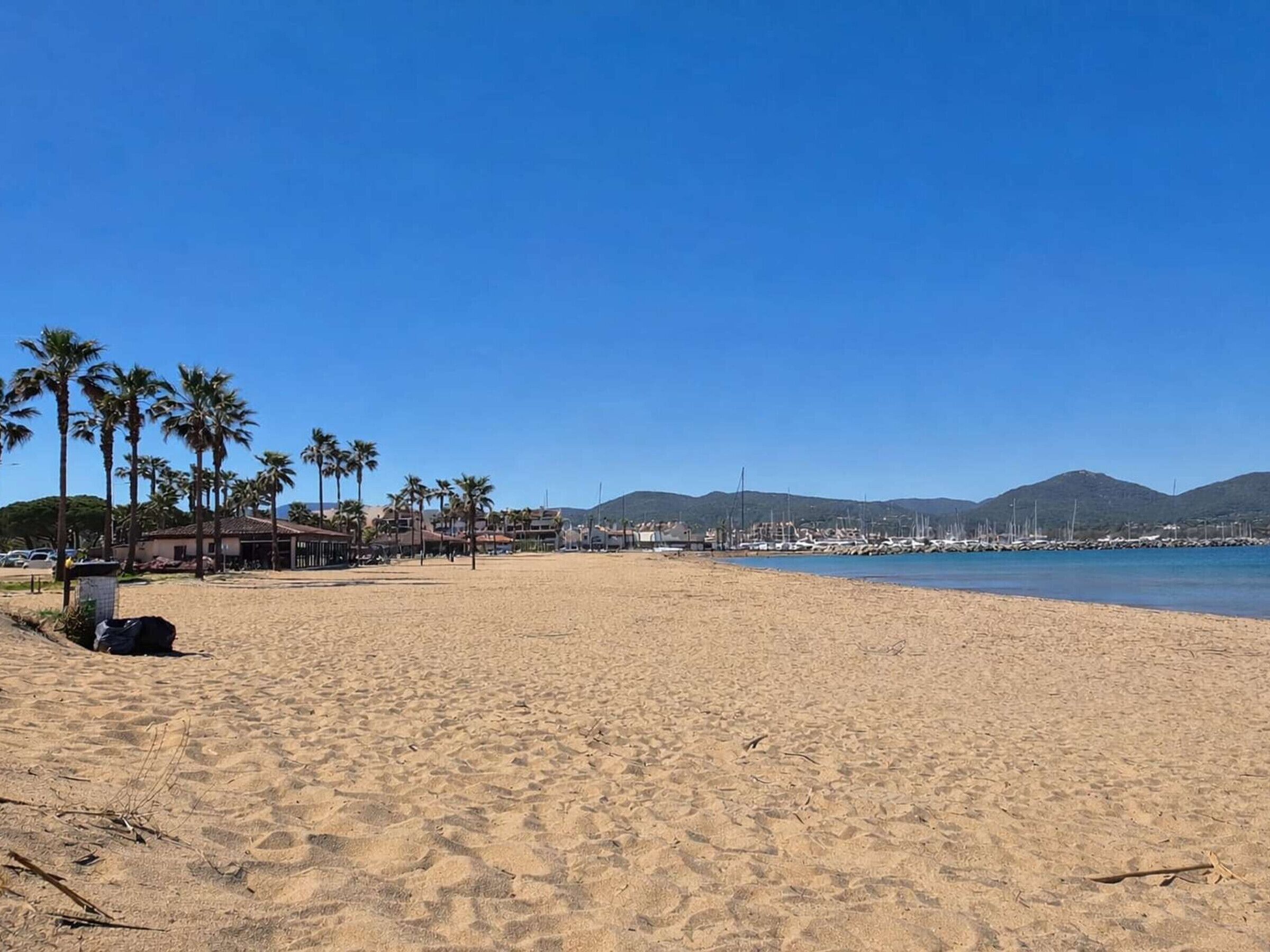 A beach with palm trees, a marina, and buildings in the background.