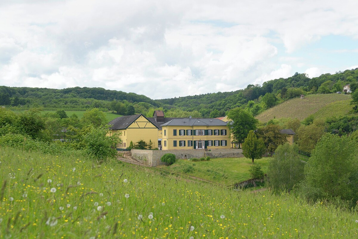 Bild für Gastgeberprofil