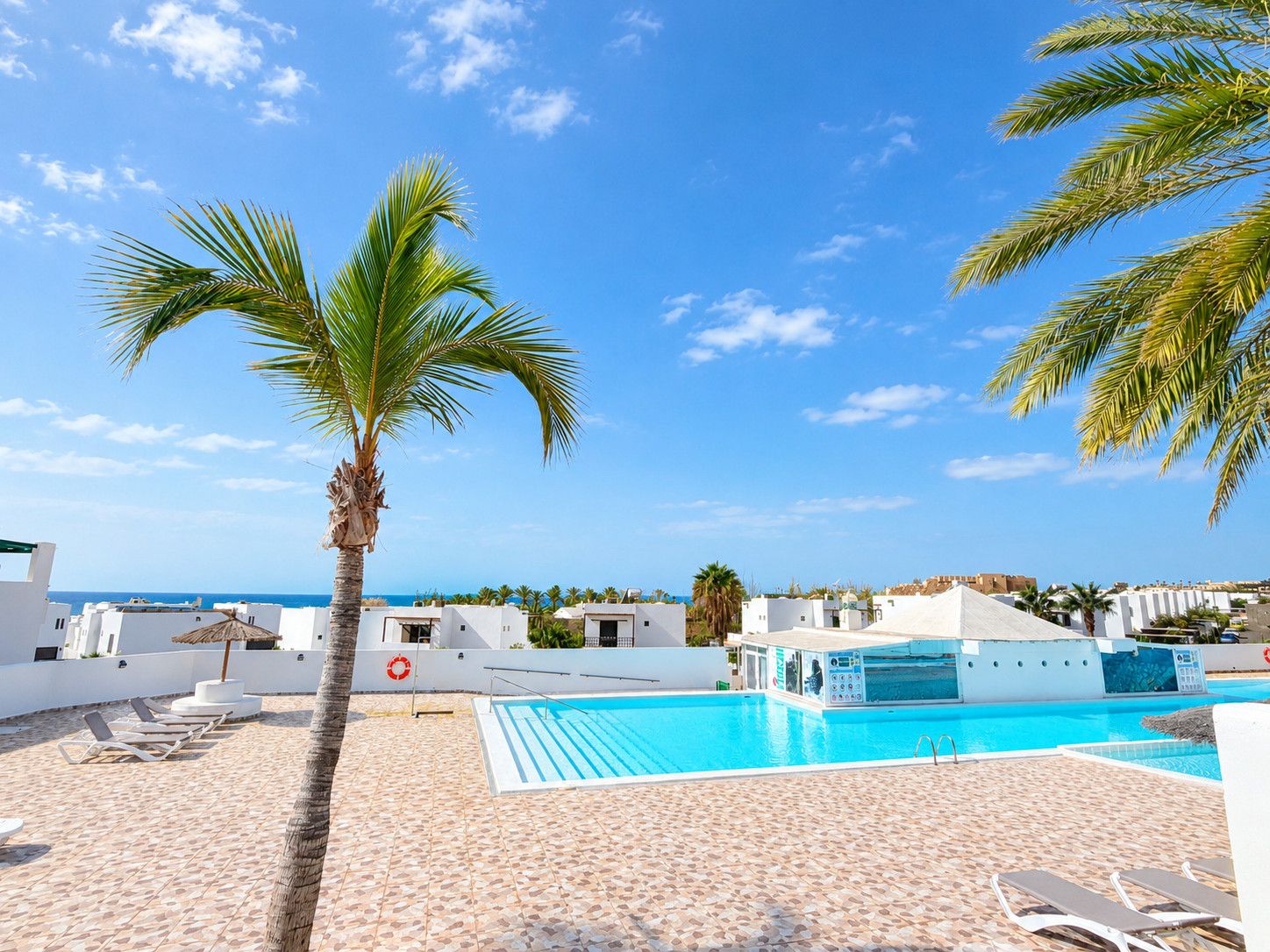 Ein Poolbereich mit Liegestühlen, einer Palme und blauem Himmel.