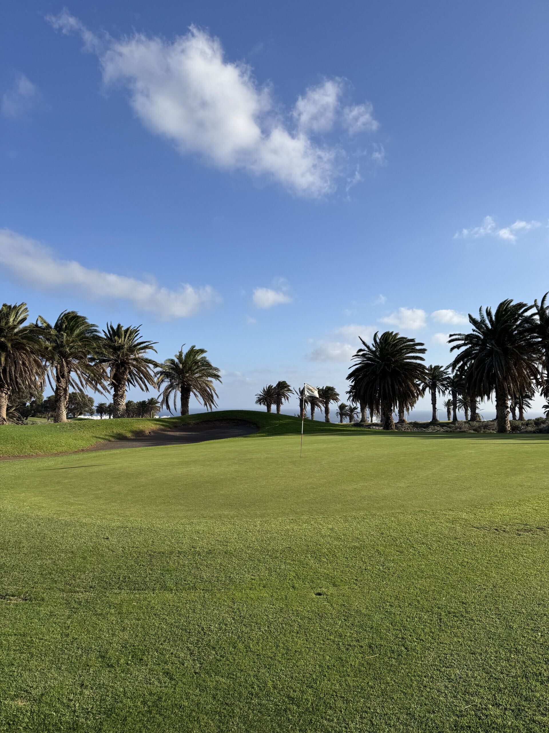 A golf course with a clear sky, palm trees, and a well-maintained green field.