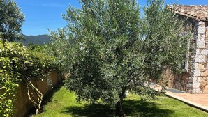 Una zona enjardinada i ben cuidada, amb un arbre i una paret de pedra.