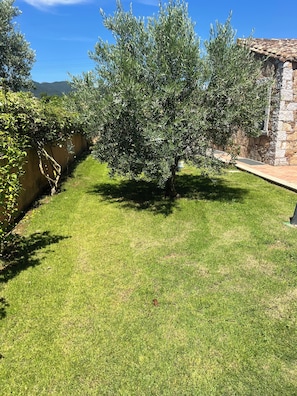 Uma área gramada bem cuidada com uma árvore e um muro de pedra.