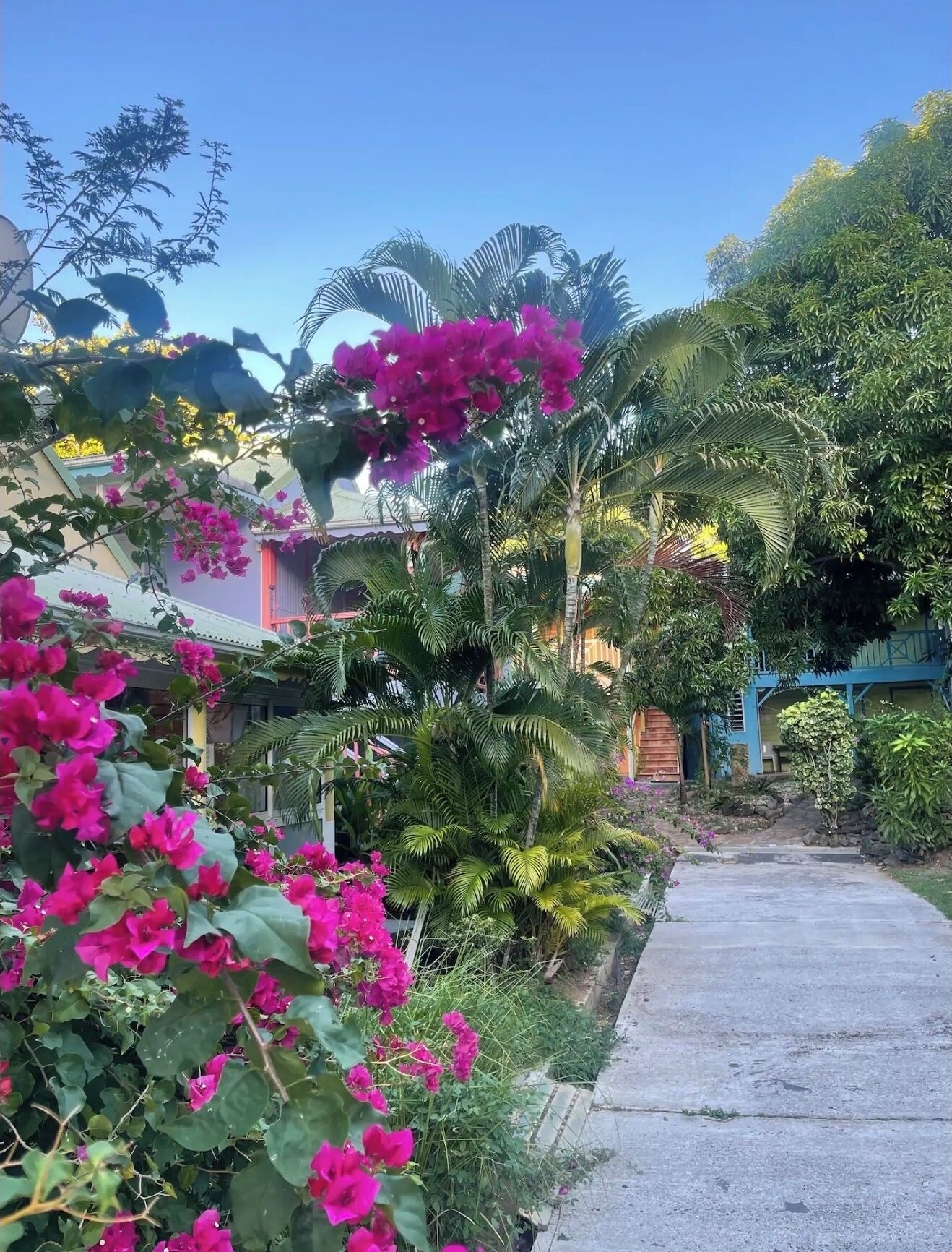 A residential area with houses, lush greenery, and a pathway.