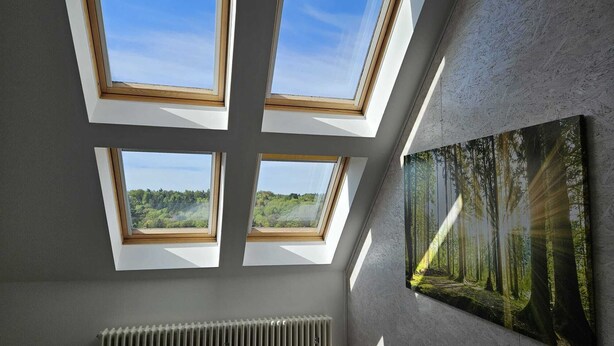 A room with skylights and a forest mural. - Spacious vacation apartment (90 sqm) to feel good on 2 levels with balcony (Michelstadt)