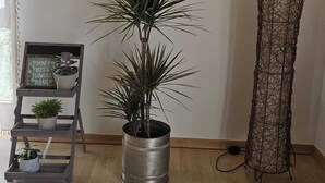 A room with a wooden floor, a framed picture of a building, a tall potted plant, a metal sculpture, and a small shelf with a sign. - Spacious vacation apartment (90 sqm) to feel good on 2 levels with balcony (Michelstadt)