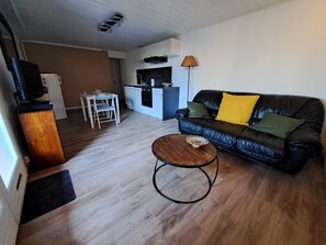 TV, DVD player, books