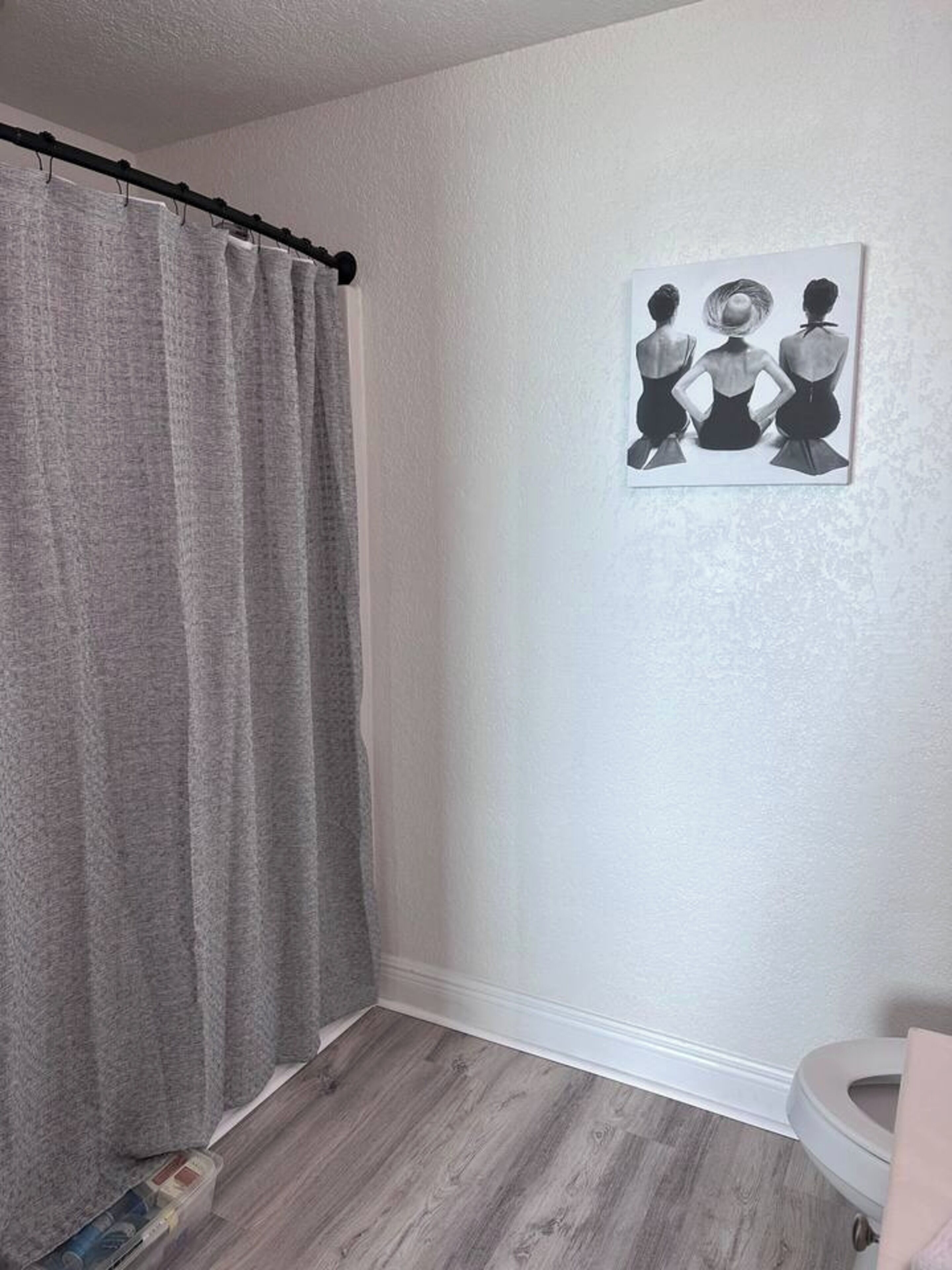 Un baño con cortina de ducha gris, un inodoro y un cuadro en la pared.