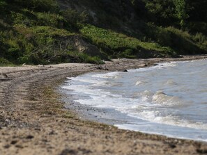 Una playa con olas, piedras y vegetación.
