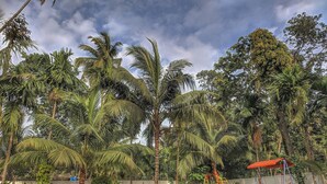 A playground with a red slide and swings, surrounded by lush greenery and palm trees. - ICE APPLE RESORT (Nagaon)