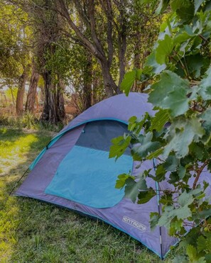 Property grounds - Casa Vacaional (Rodeo)