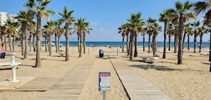 Una playa con palmeras, un paseo marítimo de madera y un cartel con información.