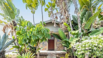 A tropical garden with a stone pathway leading to a wooden door marked "525".