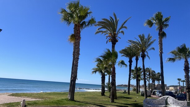 Una passeggiata costiera con palme, un percorso decorato e vista sul mare.