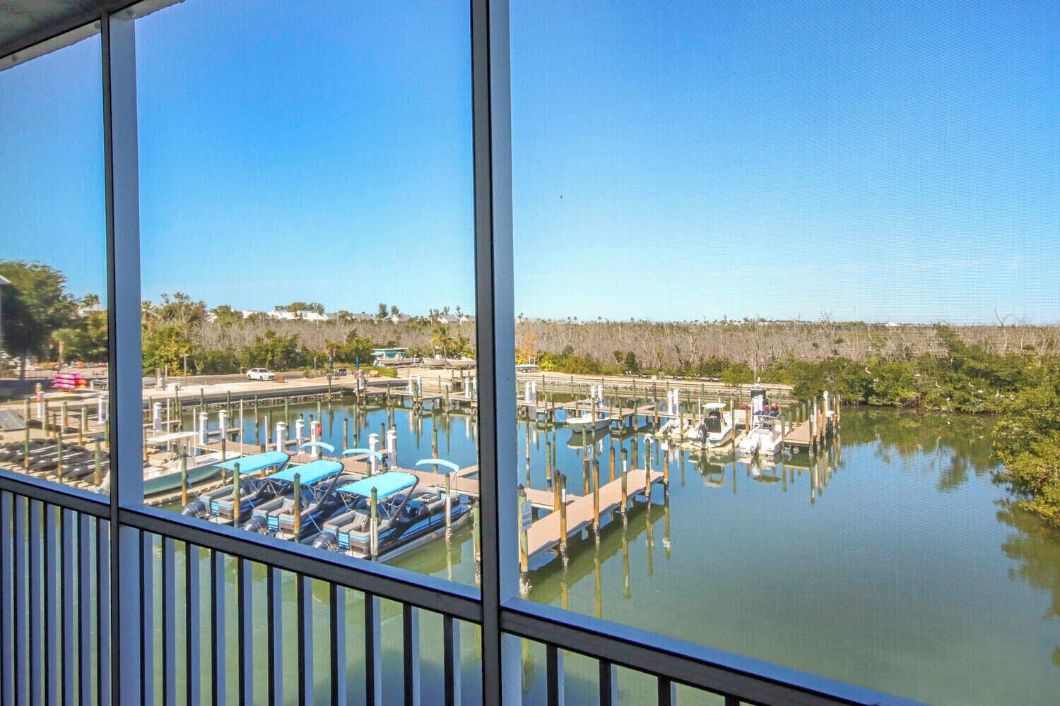 A marina with boats docked, a clear sky, and a view of the surrounding vegetation.