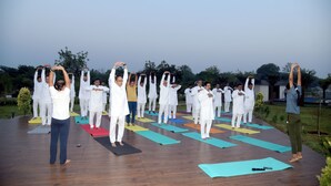 Un groupe de personnes pratiquant le yoga sur des tapis à l'extérieur.