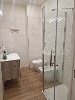 Shower, hair dryer, bidet, towels - Beautiful apartment recently renovated and complete with everything (Roma)