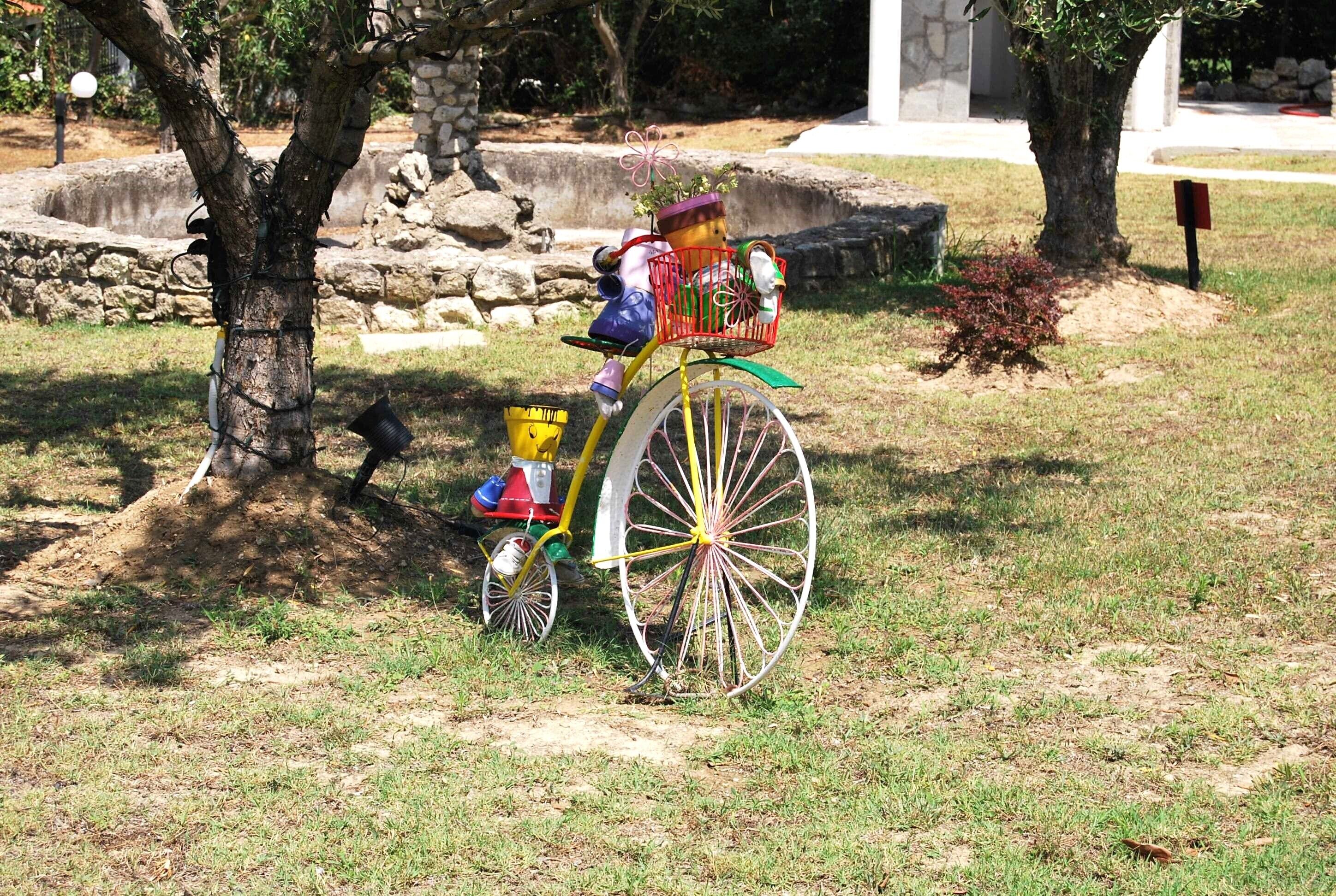Outdoor wedding area