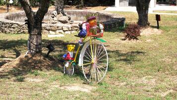 Outdoor wedding area