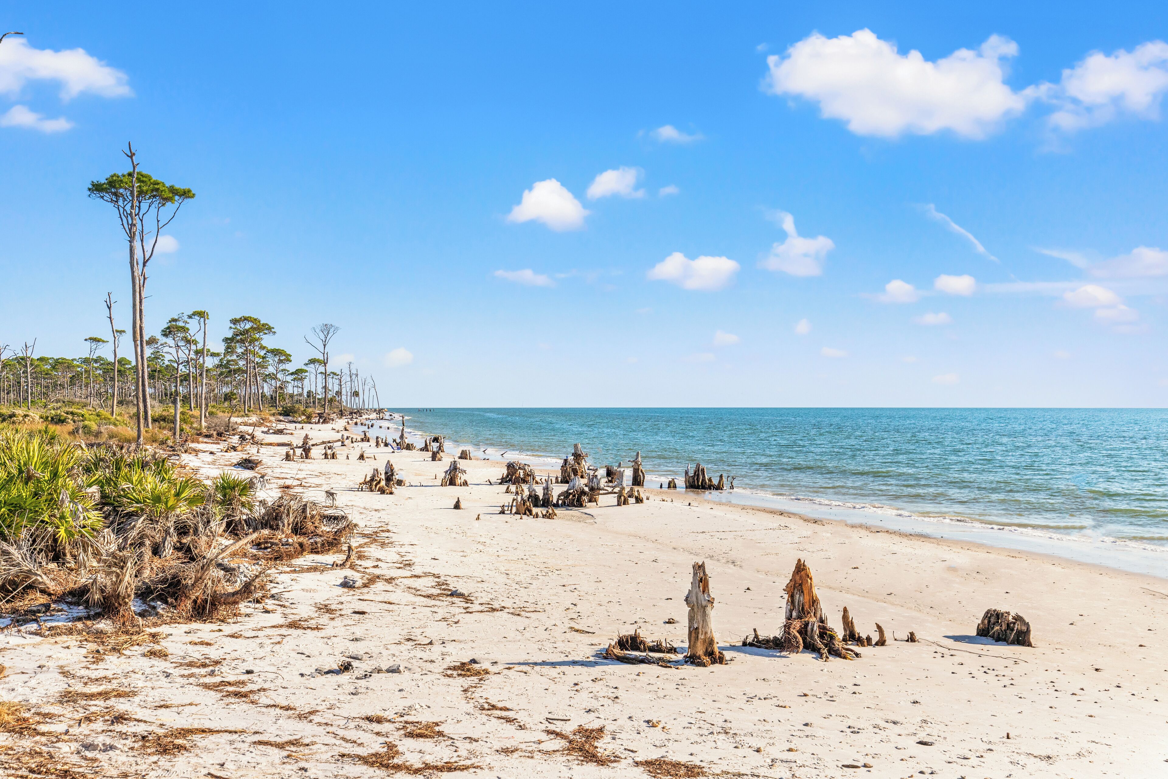 On the beach, white sand