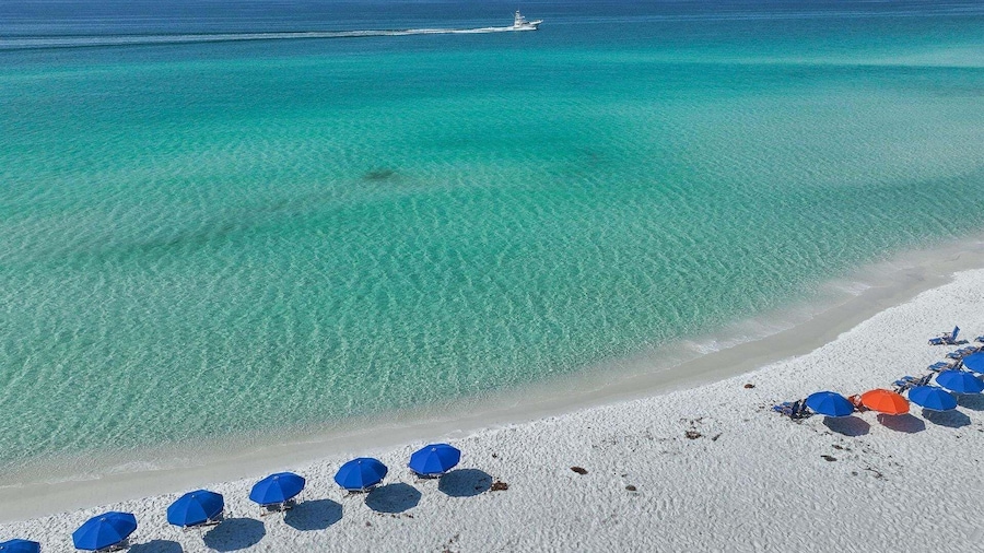 Shoreline Towers 3036 3 Bedroom Condo