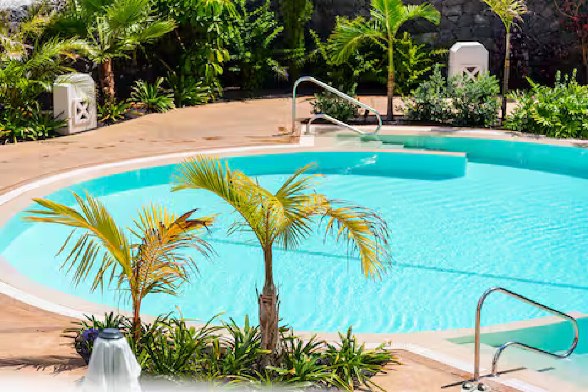 Ein Pool mit Palmen, einer Steinmauer und einer Metallleiter.