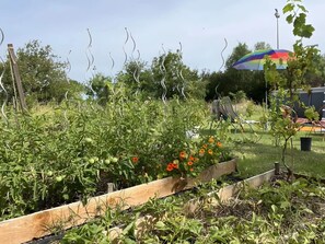 Terrain de l’hébergement 