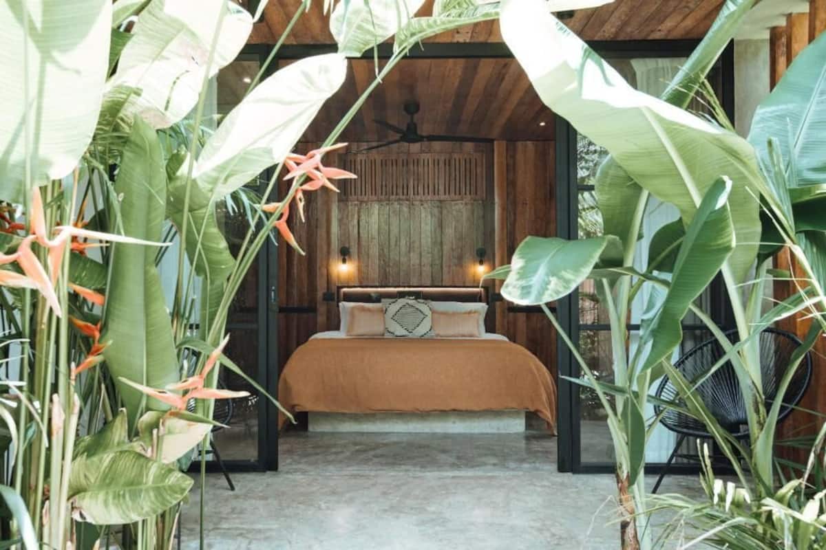 Un dormitorio con una cama, techo de madera y grandes plantas tropicales.