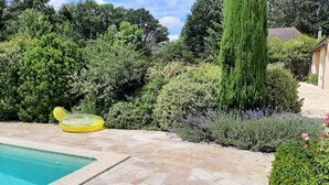 Una piscina con baldosas de piedra, rodeada de arbustos diversos y un alto pino.