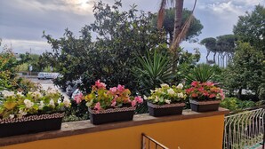 En balkon med plantekasser og udsigt til en parkeringsplads.