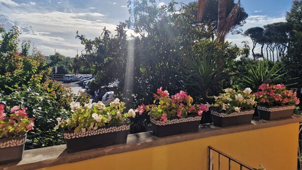 En balkon med plantekasser og udsigt til parkerede biler.