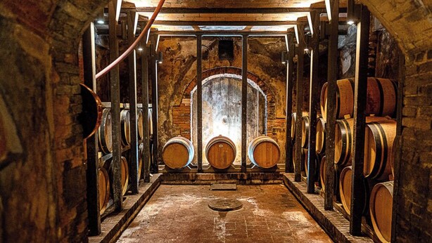 A cellar with wooden barrels arranged in rows, a central arched opening, and a brick wall. - Agriturismo gli Archi (Fauglia)