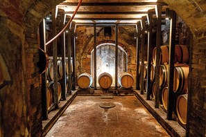 A cellar with wooden barrels arranged in rows, a central arched opening, and a brick wall. - Agriturismo gli Archi (Fauglia)
