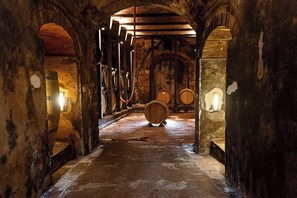 Winery - Agriturismo gli Archi (Fauglia)