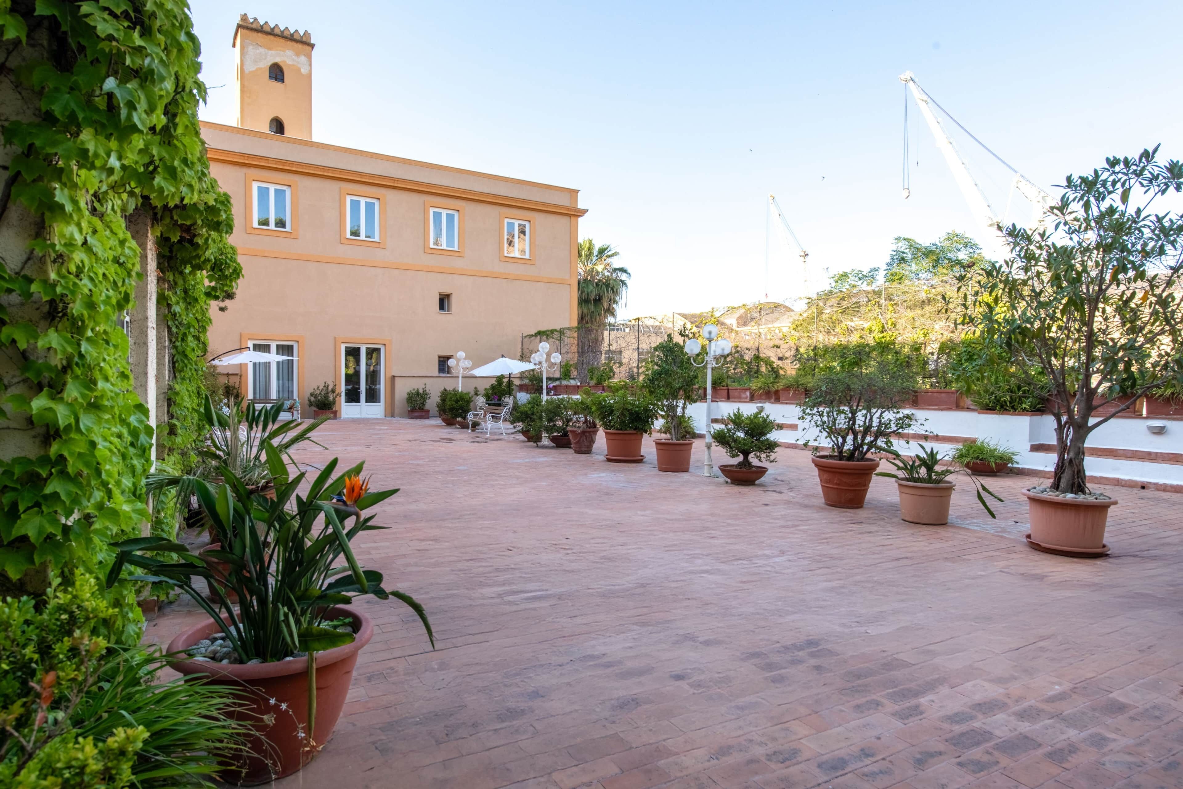Un patio con plantas en macetas, un edificio con torre y una grúa al fondo.