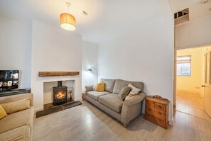 TV, fireplace, video games