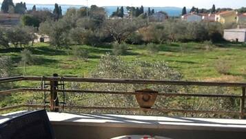 Apartment ((A5) ThreeBedroom Apartment with Priv) | Balcony