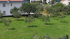 A residential area with modern houses, green lawns, and scattered trees. - Apartments Lighthouse (Fazana)
