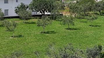 Apartment ((A3) TwoBedroom Apartment with Sea Vi) | Exterior