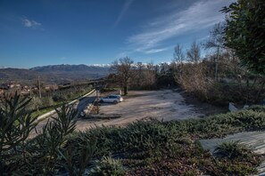 Property grounds - Tenuta Giave (Campania)