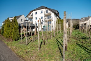 A residential building with a balcony, surrounded by a vineyard.