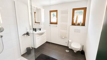 Shower, hair dryer, towels