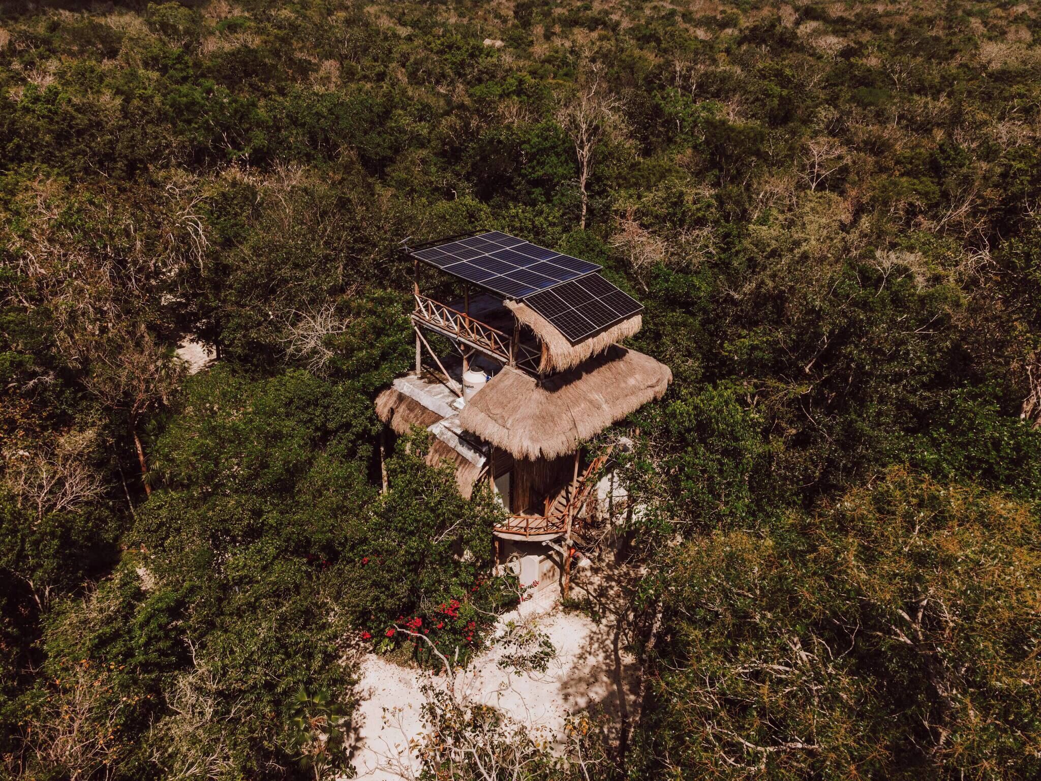 A thatched-roof structure with a solar panel on the roof, surrounded by dense vegetation.
