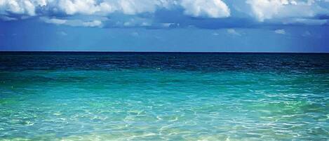 Villa, varias habitaciones, alberca privada, vista al jardín | Playa