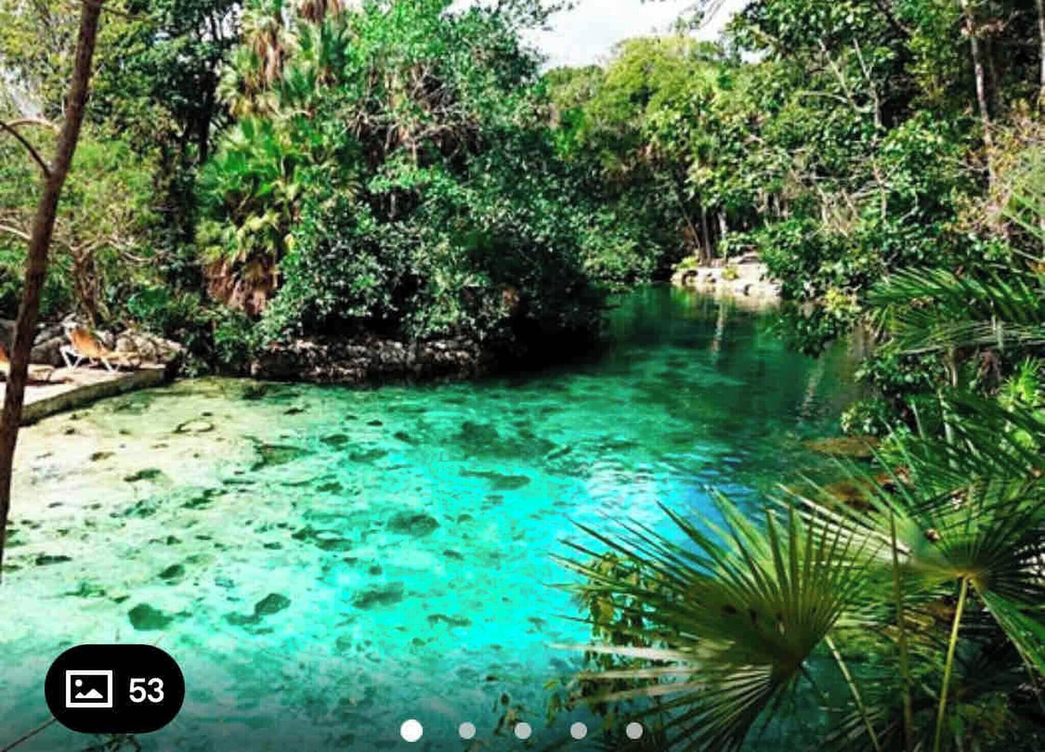 Un décor tropical avec une piscine aux eaux turquoise et limpides, entourée d’une végétation luxuriante et d’arbres.