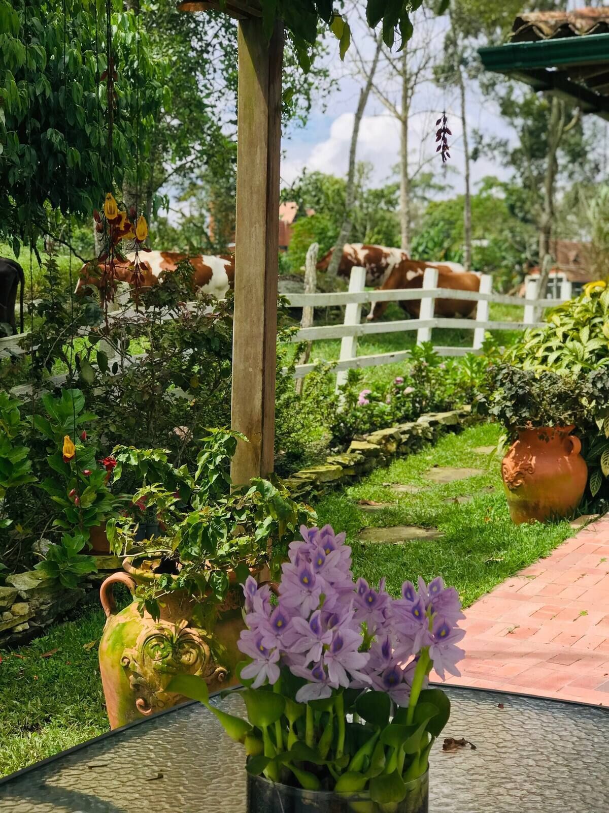 Casa, 3 habitaciones, con acceso para personas discapacitadas, vista al jardín | Jardín