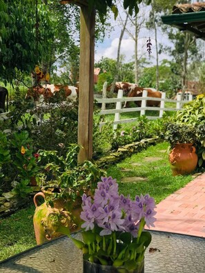 House, 3 Bedrooms, Accessible, Garden View | Garden