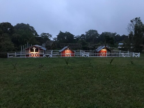 El Oasis Organic Farm