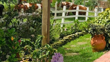 House, 3 Bedrooms, Accessible, Garden View | Garden