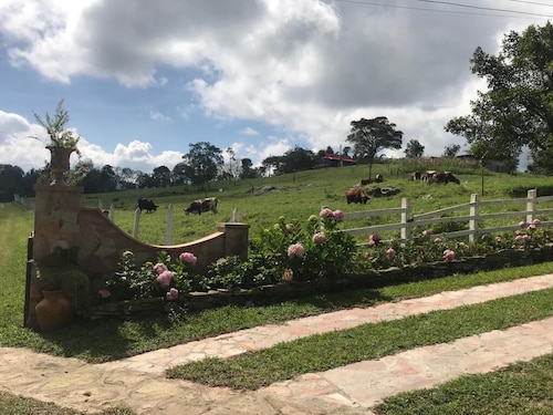 El Oasis Organic Farm