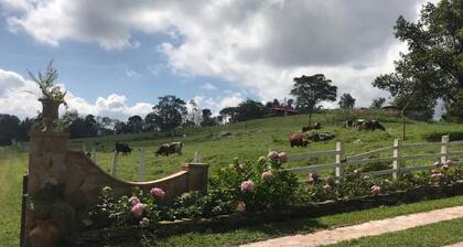 El Oasis Organic Farm